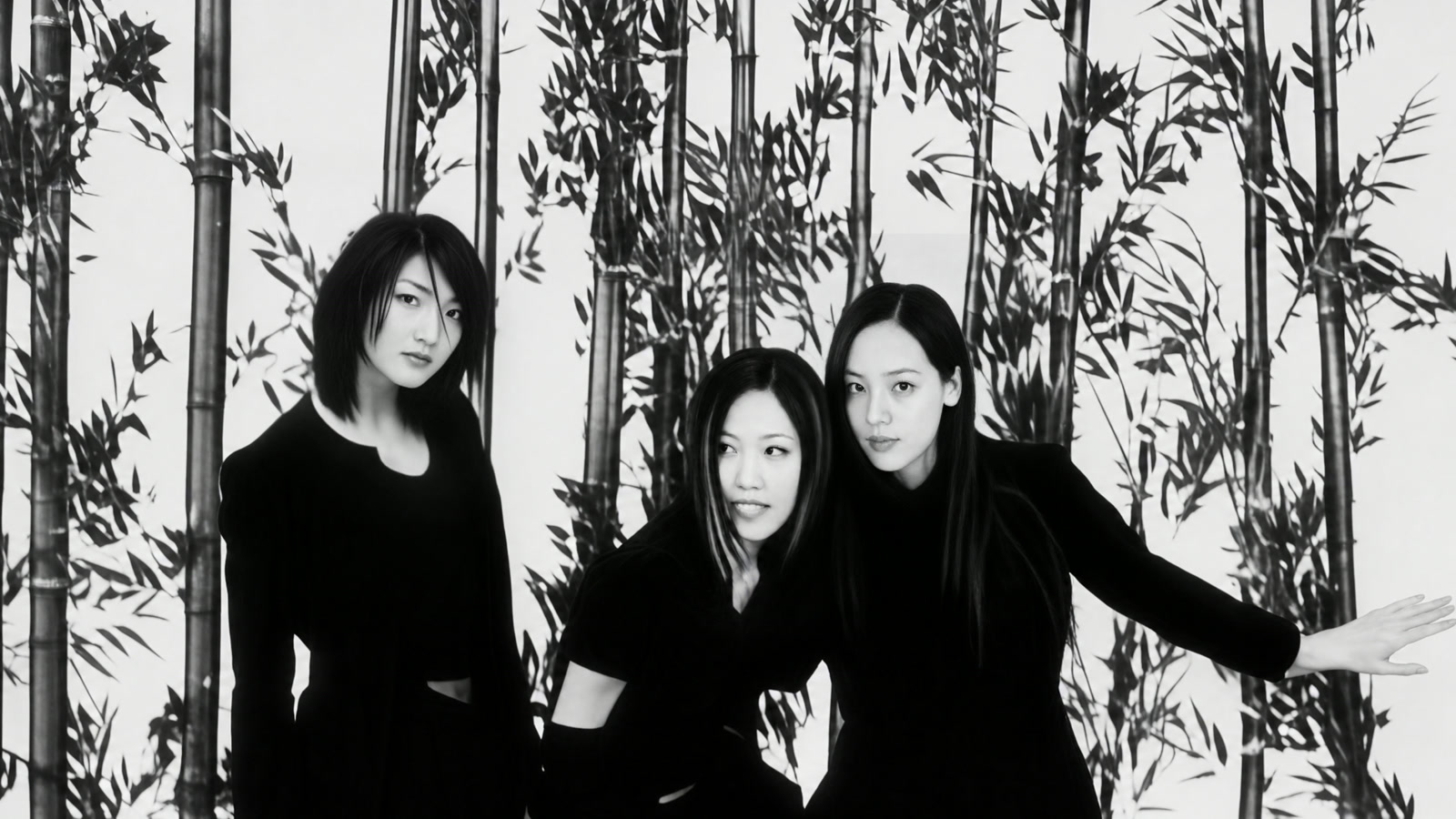 대나무 장면 시작 프레임